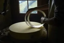 Як створюється швейцарський сир створюється