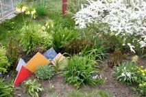 Як прикрасити спорожнілий осінній квітник осінній