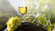 Вино з білого винограду в домашніх умовах вино