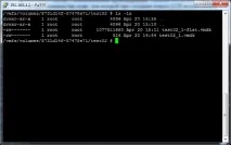 VM Press Як можна швидко конвертувати віртуальні диски в LUN на СГД NetApp можна