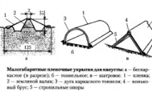 оранжерия