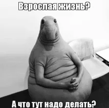 Візуальні ефекти з живого виступу Skrillex ефекти