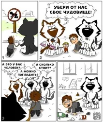 Все про котів FHV-1