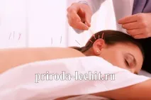 Ящірки та забобони, Фауна Землі ящірки