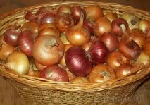 Зберігання цибулі в домашніх умовах цибулі