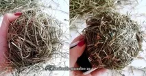Зайці та кролики із сіна та соломи сіна