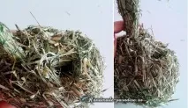 Зайці та кролики із сіна та соломи соломи