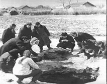 10 найбільших і відомих метеоритів, що падали на землю найбільших