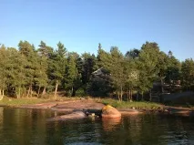 крокодил