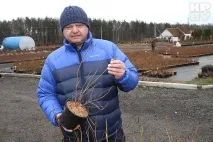 Андрій Костюков Мільярдером фермер не буде, але на хліб йому вистачить мільярдером