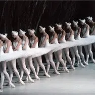 Балет, стиль танцю балет, відео, статті, огляди, уроки та рухи на WeLoveDance танцю