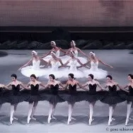 Балет, стиль танцю балет, відео, статті, огляди, уроки та рухи на WeLoveDance відео