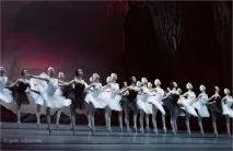 Балет, стиль танцю балет, відео, статті, огляди, уроки та рухи на WeLoveDance балет