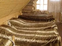 База відпочинку «Тигровий шлях» - Тигрове, Приморський край, фото турбази, ціни база