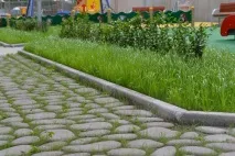 Альтанки, сосни, річки і жодної машини виглядають як двори сучасних новобудов - новини річки