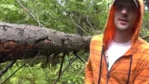ножі
