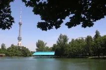 Вам доставка. вашого сміття! вашого