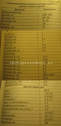 Обліпиха. Корисні властивості. Протипоказання. властивості
