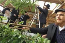 Біблійне свято Кучок або Суккот свято