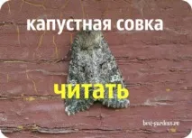 заплаха