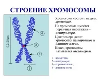 поділу