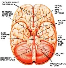 Цереброваскулярні захворювання цереброваскулярні