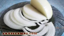 Чим корисна цибуля для організму людини людини