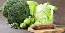 Капустяна моль заходи боротьби, народні засоби моль