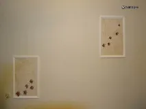 Дірка на шпалерах Не проблема! шпалерах