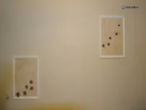 Дірка на шпалерах Не проблема! шпалерах