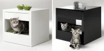 Дизайн для котів – Це цікаво! котів