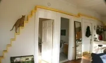 Дизайн для котів – Це цікаво! котів
