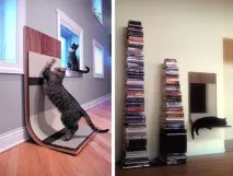 Дизайн для котів – Це цікаво! котів