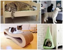 Дизайн для котів – Це цікаво! цікаво