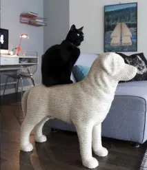 Дизайн для котів – Це цікаво! котів
