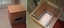 Дизайн для котів – Це цікаво! дизайн