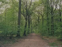 змішування