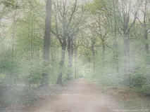 ефект