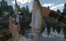 Fishing Planet я знаю, як ви проведете решту літа fishing