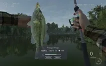 Fishing Planet я знаю, як ви проведете решту літа літа