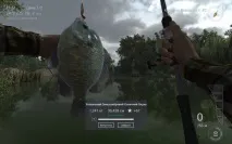 Fishing Planet я знаю, як ви проведете решту літа planet