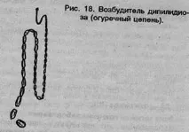 Фелінологічний Альянс України - Інвазивні хвороби (паразити) України