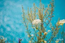 Фоторепортаж вихідні на крейдяних кар’єрах під Волковиском - туристичний блог про відпочинок у Білорусі волковиском