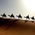 Група людей - пошук слів за маскою та визначенням, відповіді на сканворди група