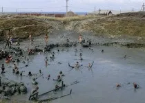 Голубицька станиця станиця
