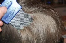 Гребінець для вичісування вошей та гнід чи ефективний (обговрення) гребінець