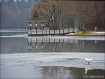 Історія санаторію «Барвіха» та замку баронеси Мейєндорф (2015) історія