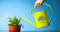 Як навчити ініціативу навчити