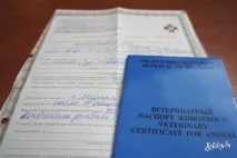 Як перевезти тварину Білоруссю – робимо все правильно! туристичний блог про відпочинок у Білорусі білоруссю