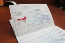 Як перевезти тварину Білоруссю – робимо все правильно! туристичний блог про відпочинок у Білорусі білоруссю